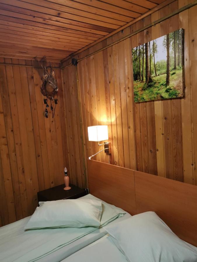 Cabana Fantanita Cu Brazi 波亚纳布拉索夫 外观 照片
