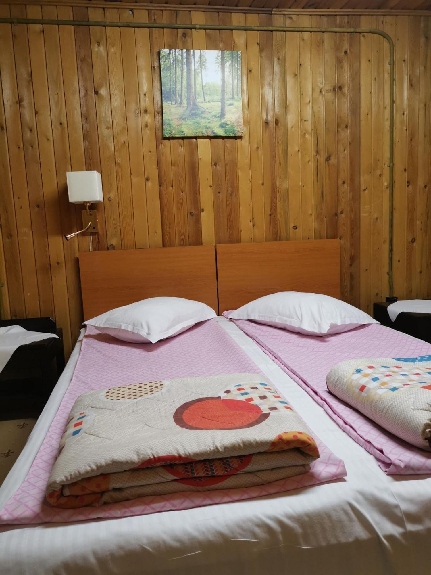 Cabana Fantanita Cu Brazi 波亚纳布拉索夫 外观 照片
