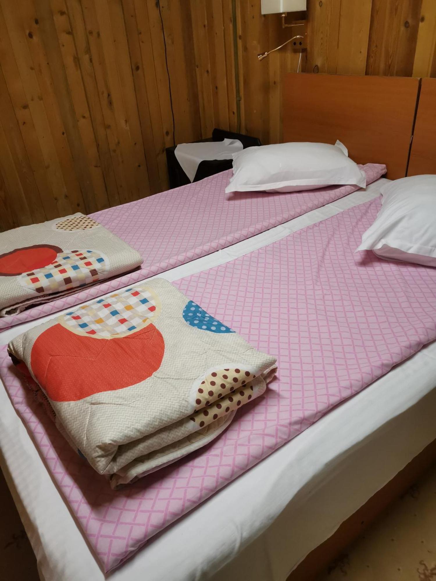 Cabana Fantanita Cu Brazi 波亚纳布拉索夫 外观 照片